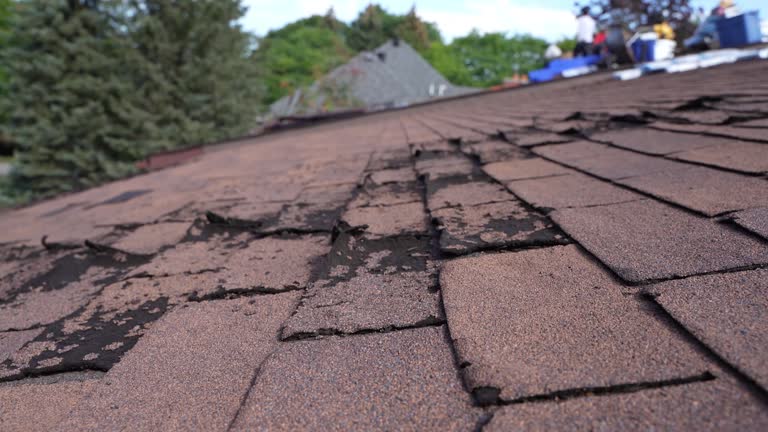 Best Roof Leak Repair  in Stoneville, NC